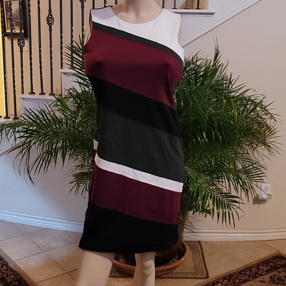 Spense Diagonally Wide Striped Dress